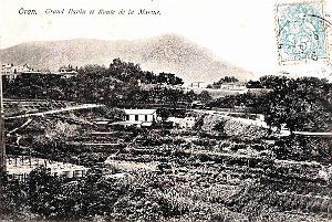Oran - Grand Ravin et Route de la Marine - Vue depuis le Lycee Lamoriciere - 1905